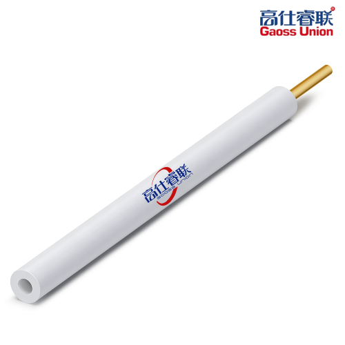 Carbon paste electrode