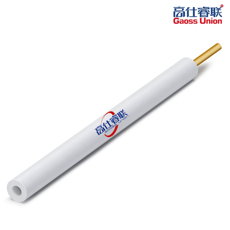 Carbon paste electrode